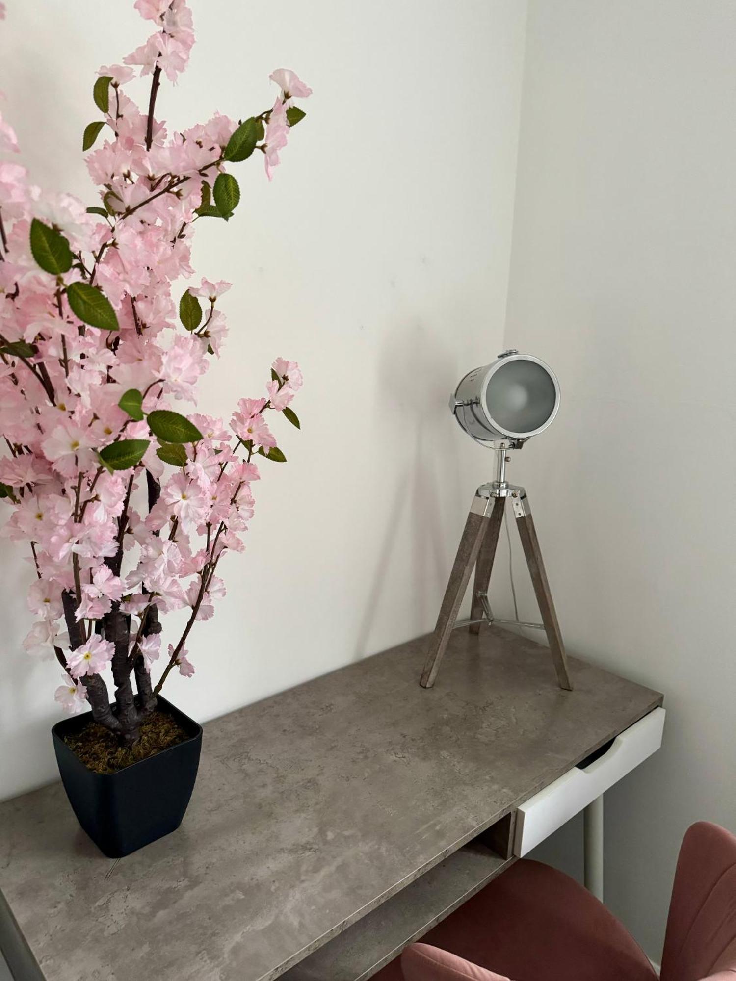 Harmony House 3 Bedroom New Build For Families, Contractors, Black Country Museum Sleeps 6 提普顿 外观 照片